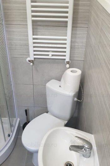 Iosefin – Apartament  1  Camera – Curte  Comuna – Renovat