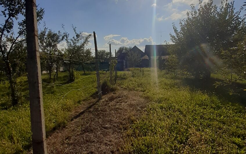 Bacova – Casa  3  Camere – Anexa