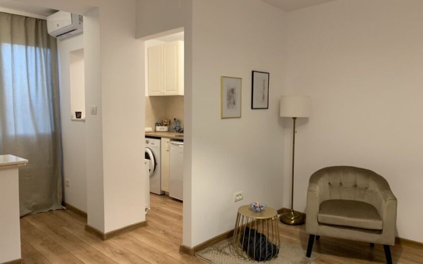 Take Ionescu – Apartament 1 Camera – Renovat