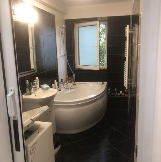 Badea Cartan – Garsoniera – Renovata
