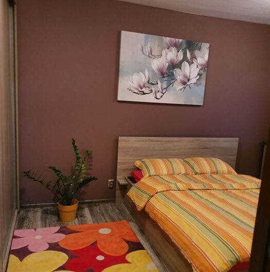 Calea Aradului – Apartament 3 Camere – Renovat