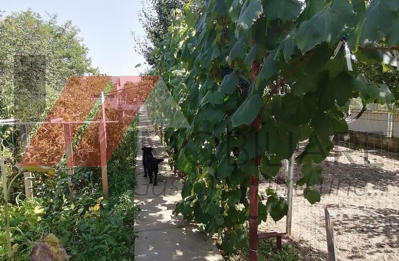Chisoda – Vila 4 Camere – Anexe Gradina amenajata – 600mp