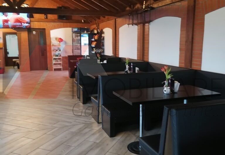 Peciu Nou-Afacere- Balta pescuit- Restaurant/Lounge – 3.8 ha