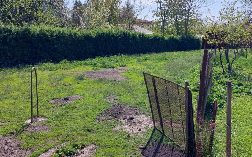 Sanandrei – Casa   4   Camere – Anexe – Teren