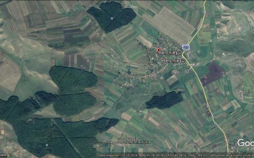 Cluj – berchesu frata – fond forestier padure -145 ha