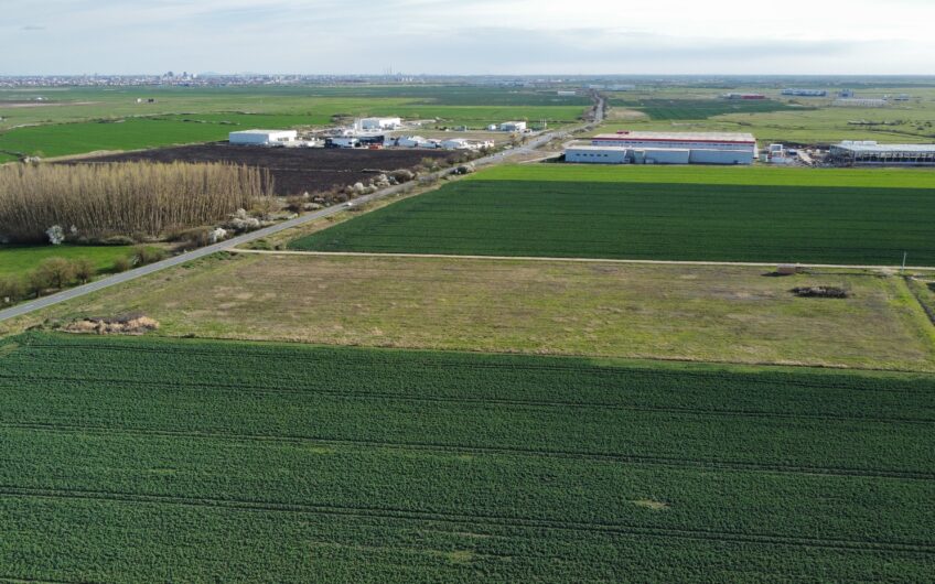 Sânandrei, Timisoara North – Industrial land – with P.U.Z. (Area Planning) – ready to use