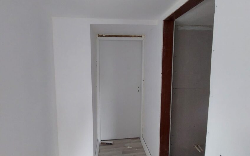 Carani [ Sanandrei ] – Casa 4 Camere Parter