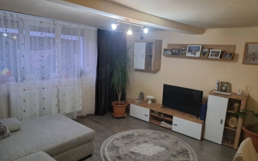 Sanandrei – Vatra Satului – Casa 4 Camere