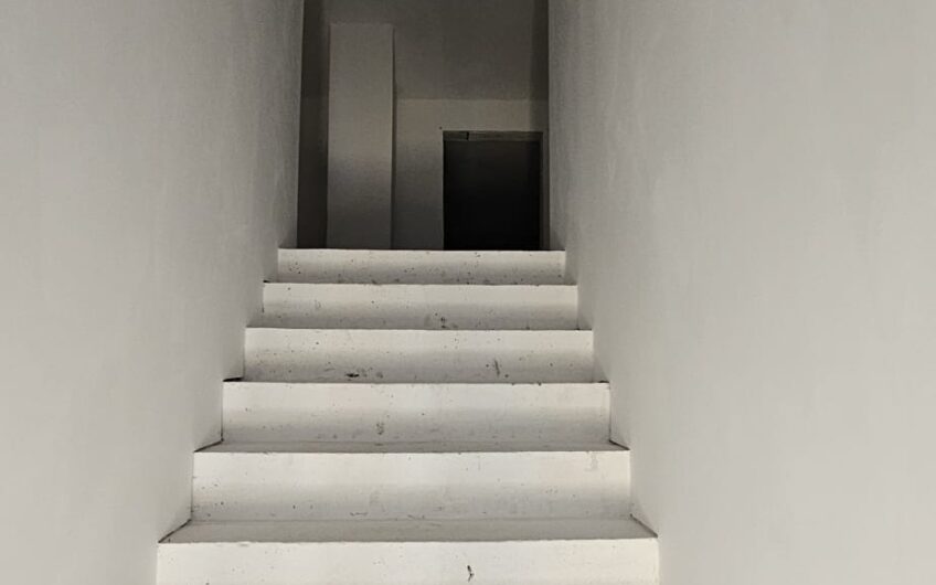 Dudestii Noi – Casa 7 Camere – Proiect  2  Familii