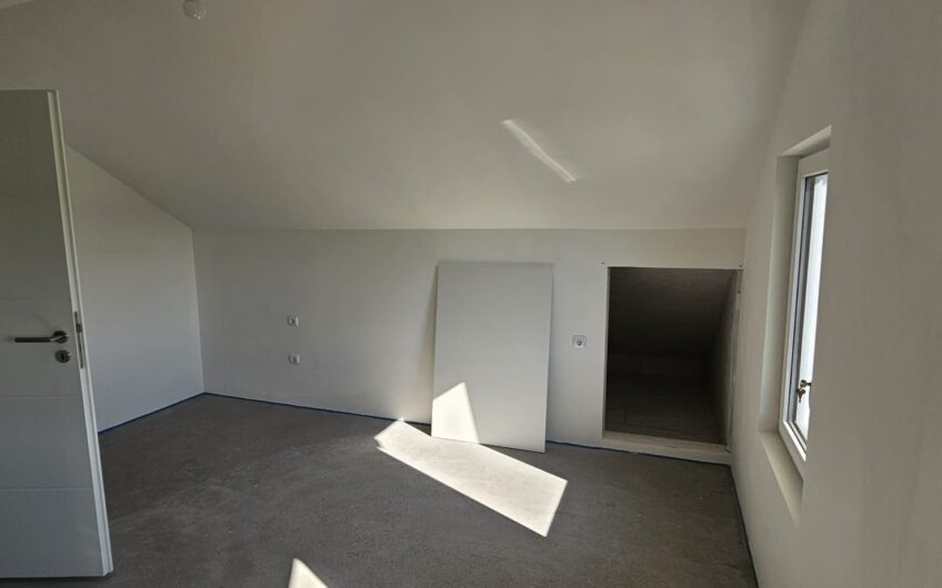 Dudestii Noi – Casa 7 Camere – Proiect  2  Familii