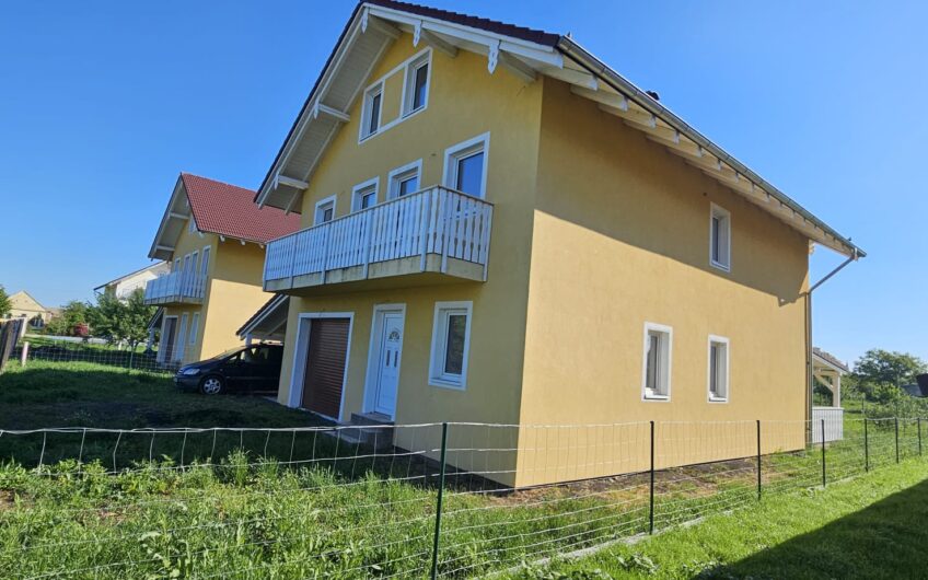 Dudestii Noi – Casa 7 Camere – Proiect  2  Familii