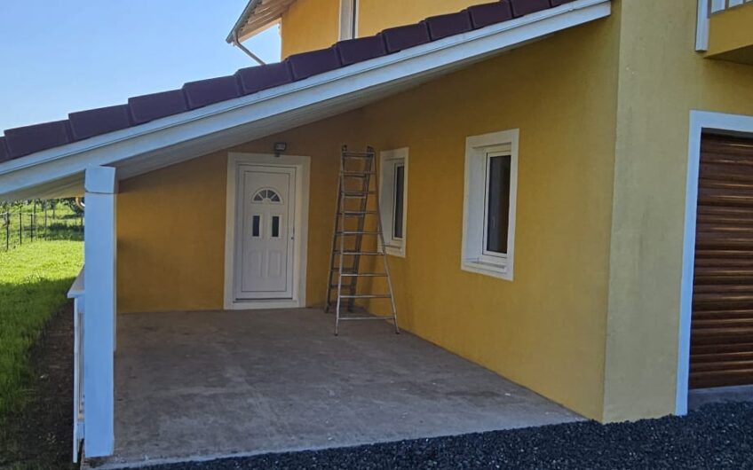 Dudestii Noi – Casa 7 Camere – Proiect  2  Familii