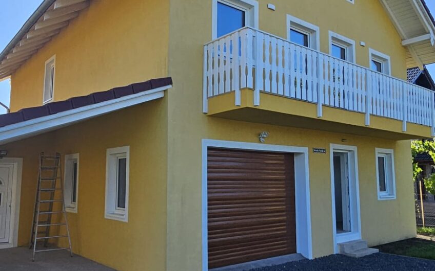 Dudestii Noi – Casa 7 Camere – Proiect  2  Familii