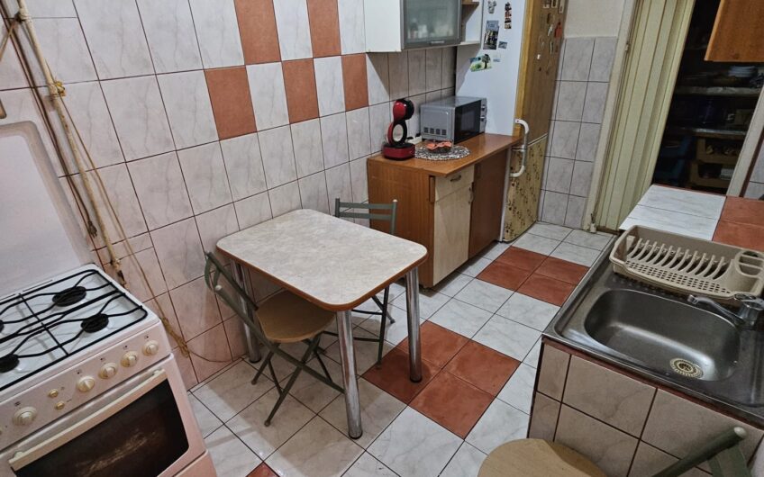 Elisabetin – Casa  4  Camere – Curte comuna