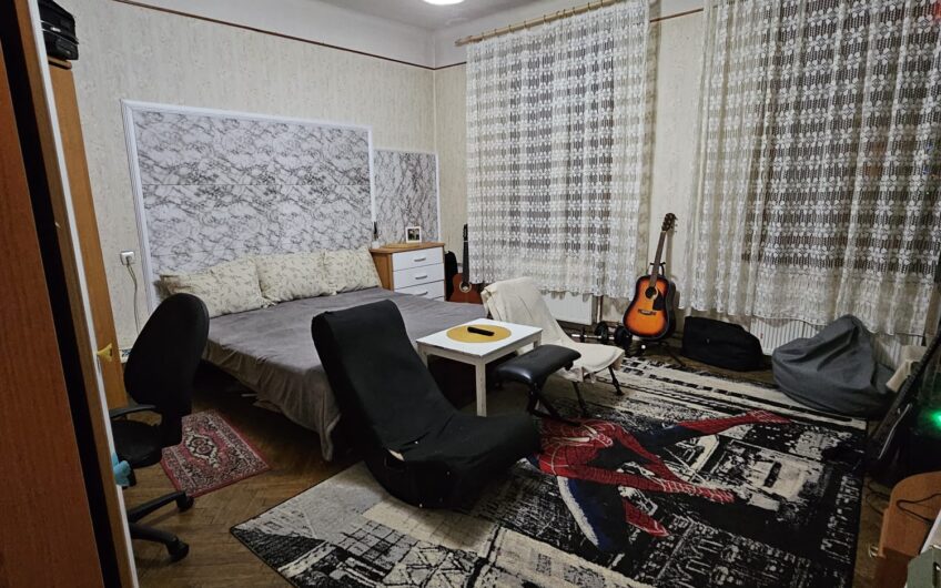 Elisabetin – Casa  4  Camere – Curte comuna