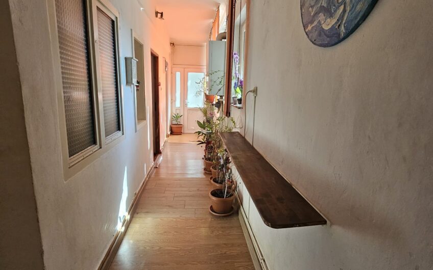 Elisabetin – Casa  4  Camere – Curte comuna