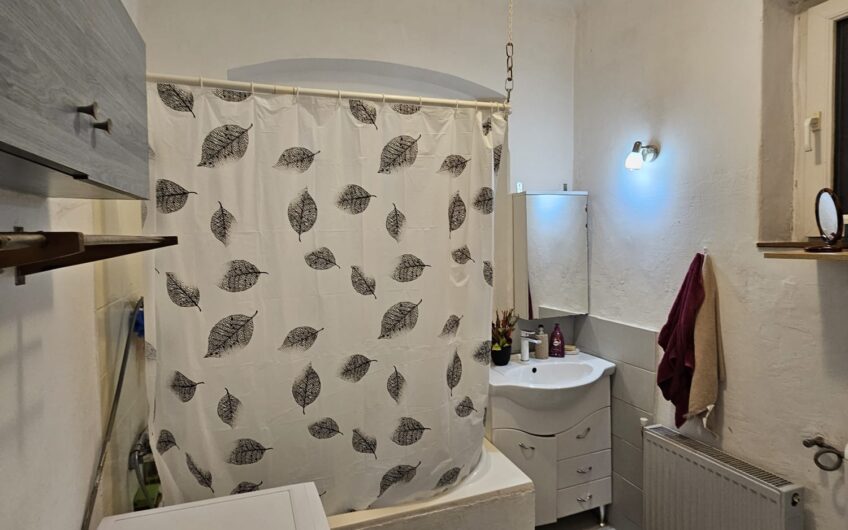 Elisabetin – Casa  4  Camere – Curte comuna