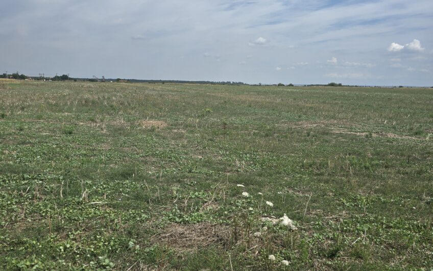 Mosnita Veche – 11 parcele – 10800 mp- CF individuale