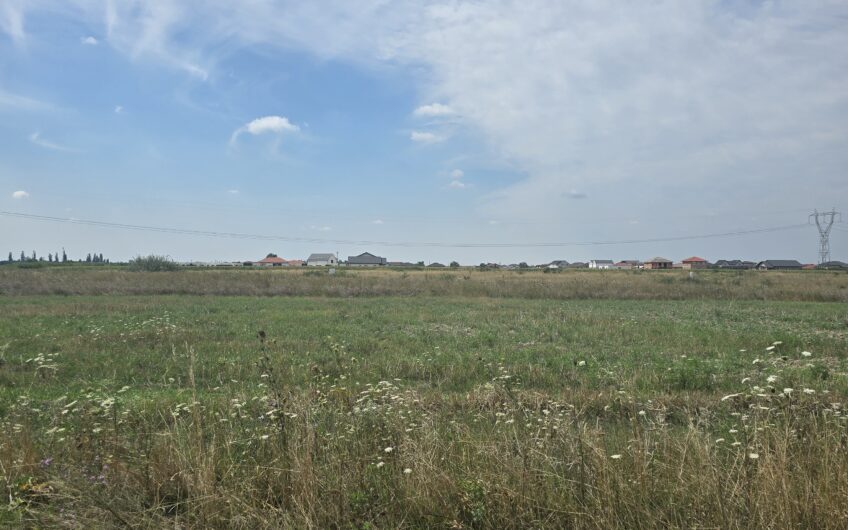 Mosnita Veche – 11 parcele – 10800 mp- CF individuale