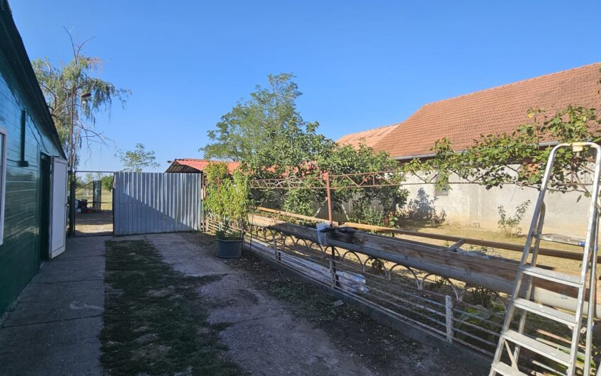 0CAZIE!  Gelu [Varias] – Casa  6  Camere [Caramida] – Proiect 2 Familii – Teren Generos