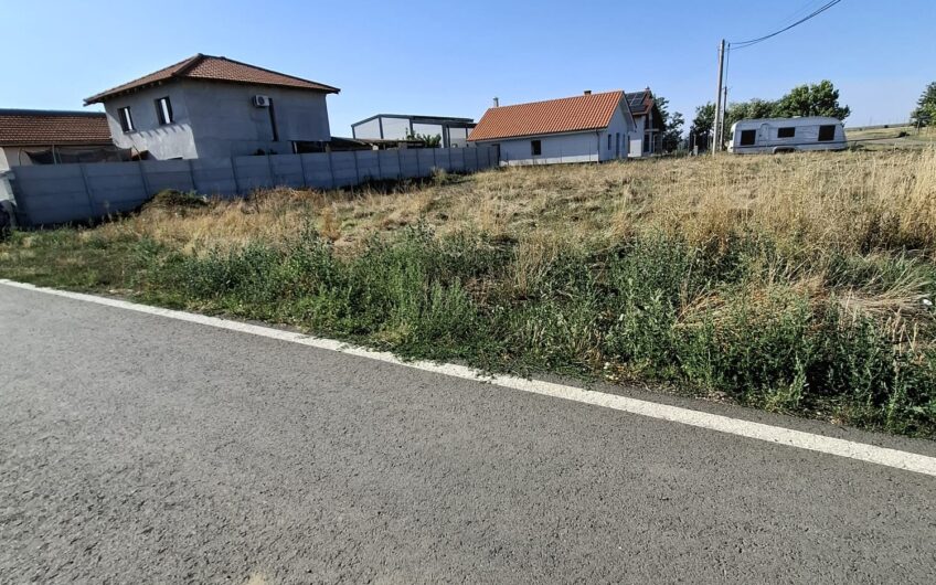 Dudestii Noi – Teren  Constructii  Case