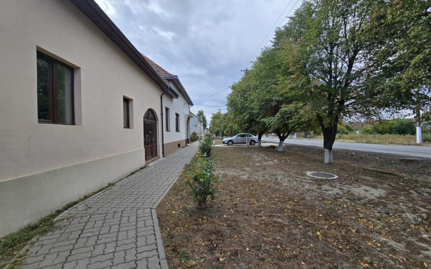 Cenad-Casa individuala -teren 549mp