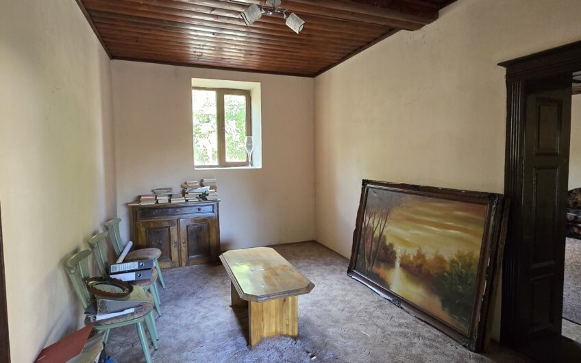 Cenad-Casa individuala -teren 549mp