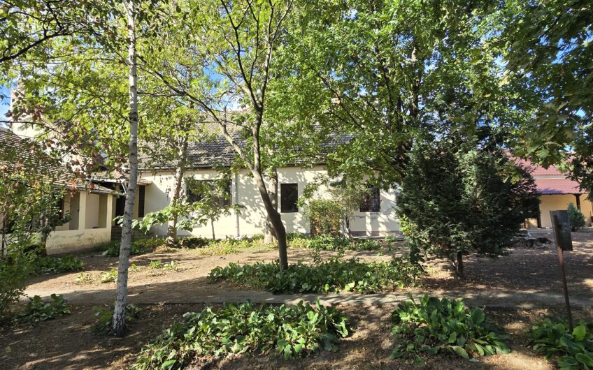 Cenad-Casa/Spatii Birouri- 150mp-teren 1065mp