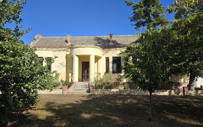 Cenad-Ultracentral-2 fronturi- Casa cu ahitectura deosebita