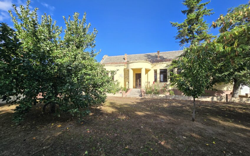 Cenad-Ultracentral-2 fronturi- Casa cu ahitectura deosebita