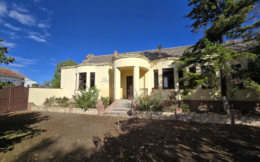 Cenad-Ultracentral-2 fronturi- Casa cu ahitectura deosebita