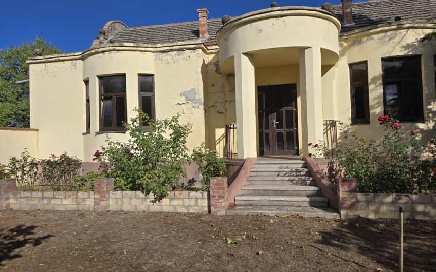 Cenad-Ultracentral-2 fronturi- Casa cu ahitectura deosebita