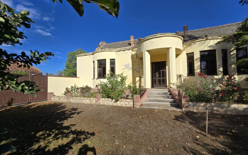 Cenad-Ultracentral-2 fronturi- Casa cu ahitectura deosebita