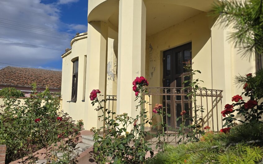 Cenad-Ultracentral-2 fronturi- Casa cu ahitectura deosebita