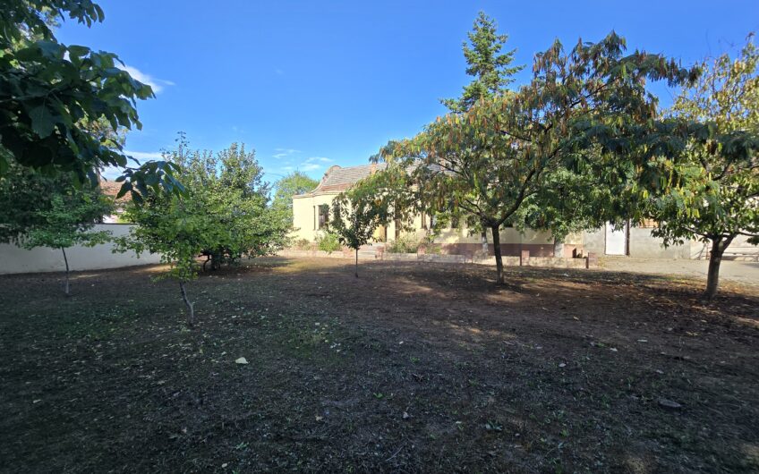Cenad-Ultracentral-2 fronturi- Casa cu ahitectura deosebita
