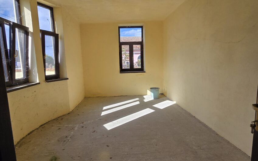 Cenad-Ultracentral-2 fronturi- Casa cu ahitectura deosebita