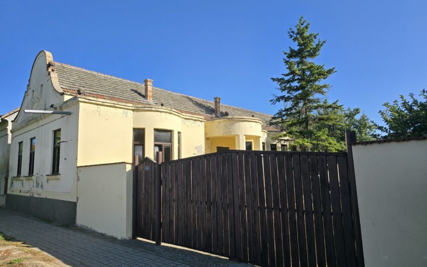 Cenad-Ultracentral-2 fronturi- Casa cu ahitectura deosebita