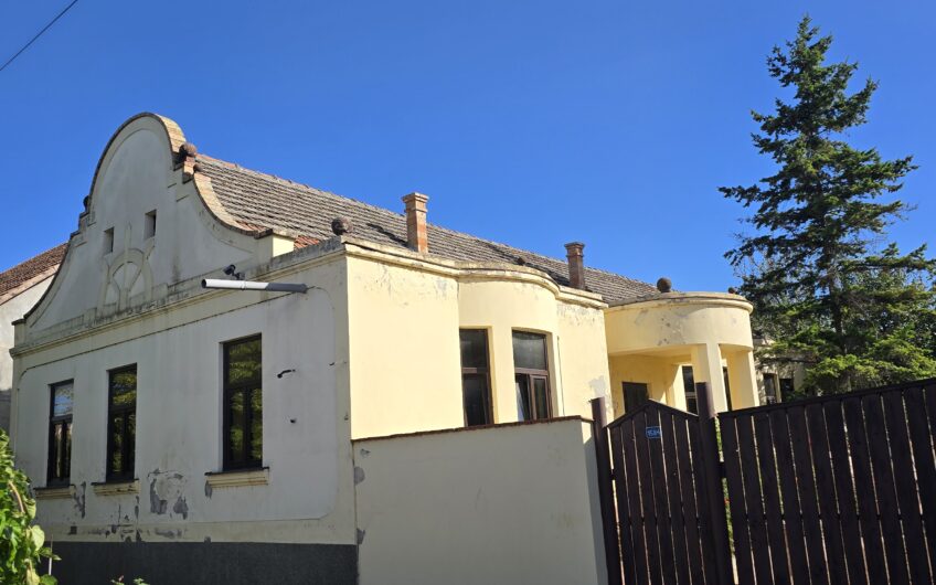 Cenad-Ultracentral-2 fronturi- Casa cu ahitectura deosebita