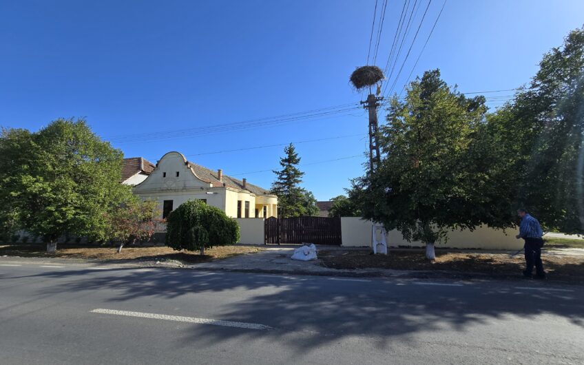 Cenad-Ultracentral-2 fronturi- Casa cu ahitectura deosebita