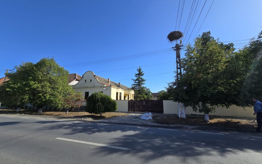 Cenad-Ultracentral-2 fronturi- Casa cu ahitectura deosebita
