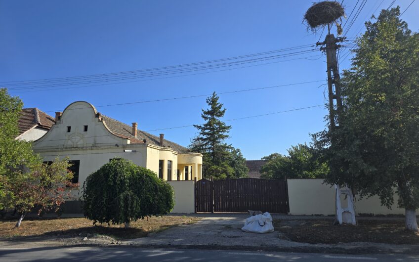 Cenad-Ultracentral-2 fronturi- Casa cu ahitectura deosebita