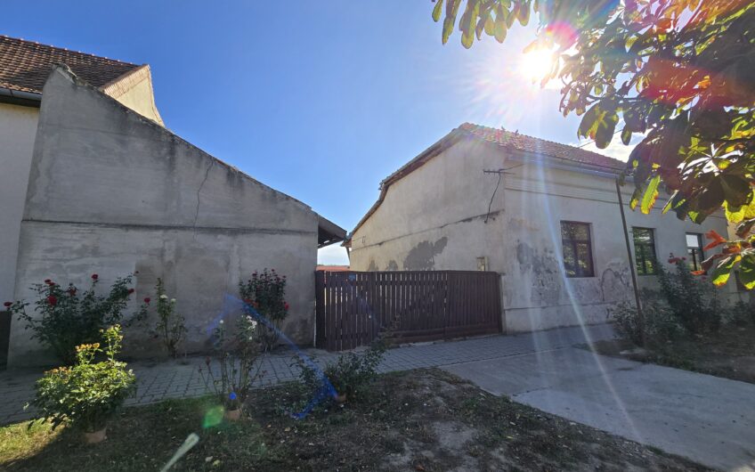 Cenad-Posibilitate Afacere-casa si 669mp teren-Ultracentral