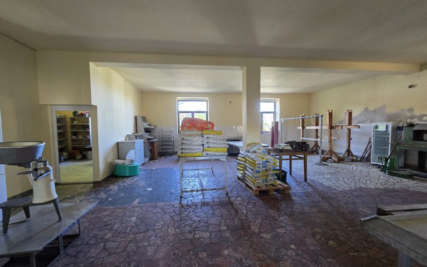 Cenad-Posibilitate Afacere-casa si 669mp teren-Ultracentral