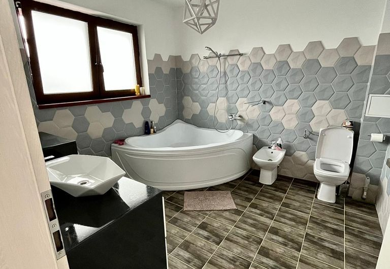 Sanandrei – Duplex  2  Camere – Pod  Mansardabil