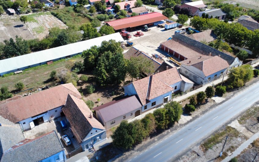Cenad-Casa/Spatii Birouri- 150mp-teren 1065mp