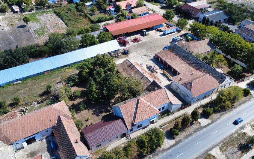 Cenad-Posibilitate Afacere-casa si 669mp teren-Ultracentral