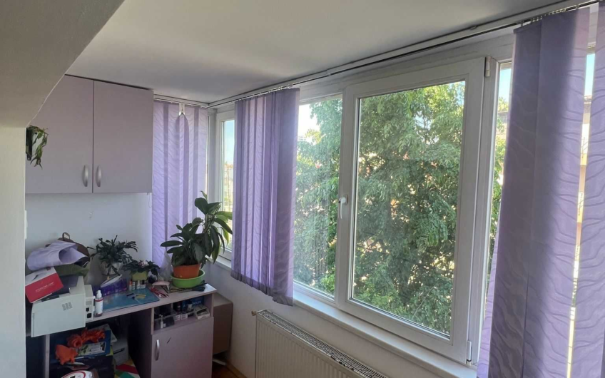 Zona  Bucovina – Torontal – Apartament 1 Camera