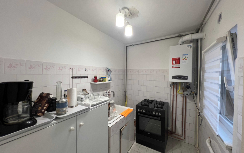 Zona  Bucovina – Torontal – Apartament 1 Camera