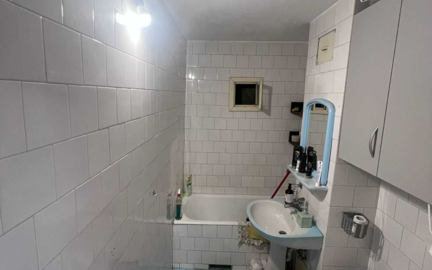 Zona  Bucovina – Torontal – Apartament 1 Camera