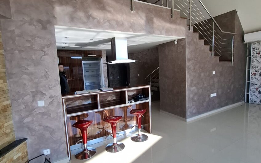 Sanandrei   Casa 4 Camere   + Garsoniera +  Teren